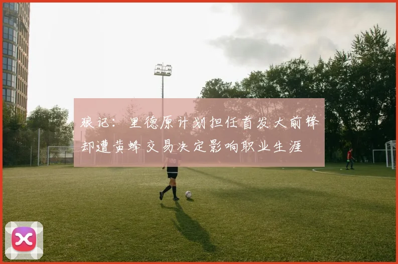 狼记：里德原计划担任首发大前锋却遭黄蜂交易决定影响职业生涯